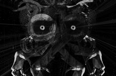 spiders1