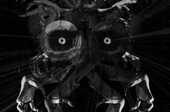 spiders1