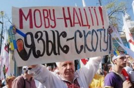 67cc87e63b751e18f6861dabb36157d4_XL