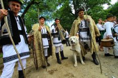 698c982f5d98408275d6ceebc7e1ba67