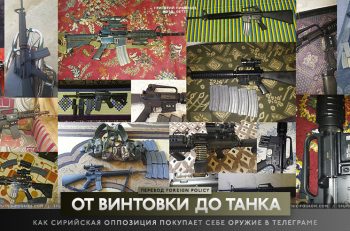 sow-cover